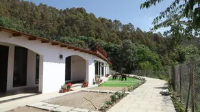 Just Naturals Wellness Resort Nainital - Image 5