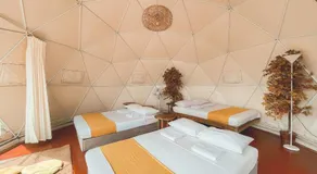 The Apiary Mountain Camp and Farm - Image 2