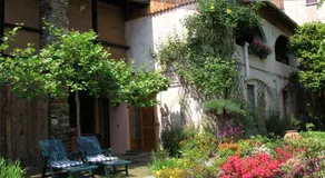 Le Camelie - Image 3