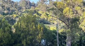 Cocora Beach Cottage - pet friendly - Image 4