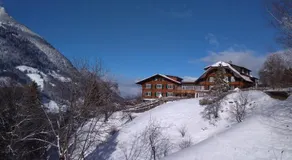 Bergengel - Image 4