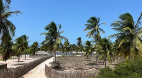 Casa da Lagoa near Barrinha - Image 5