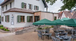 Goldammer Aschaffenburg - Image 3