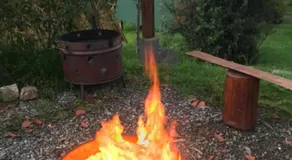 Animals Glamping - Image 5