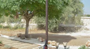 Ziran - Image 4