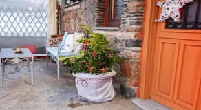Amadrias Villa Florina - Image 3