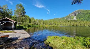 Hov Hyttegrend - Image 5