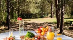 Ladybird Lodge - Image 3