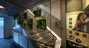 Royal Rose Hotel Xinsheng - Image 4
