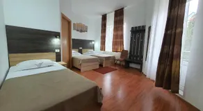Hotel Mures - Image 2