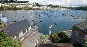 Polmarine - Image 4