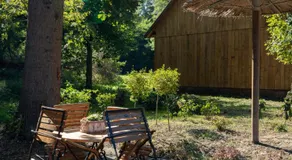 Eiche - Ferienwohnung in Dötlingen mit Waldblick - Image 5