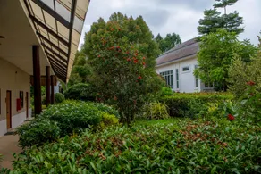 Schatz Hotel - Image 4