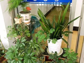 Wenxin Hostel - Image 5