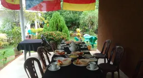 Peacock Family Stay - Image 5