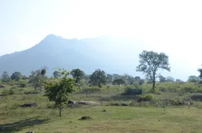 Aarraams Farms & Resorts - Image 2