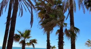 Departamento Malaga - Image 3