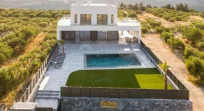 Palme Luxury Villa - Image 5