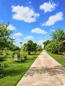 Saranya Resort - Image 4