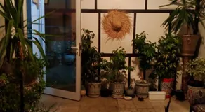 Paradis - Image 3
