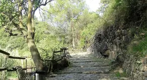 Ca La Roseta - Image 3