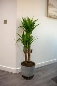 Sweet Stay, 2 Bed Luxury Apartment close to Birmingham Central - Image 4