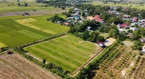 ณ บ้านนอก Organic Farmstay - Image 5