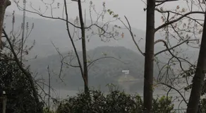 shivalaya yoga ashram - Image 5