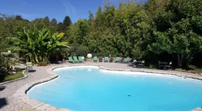 Au Faisan Doré - Image 2