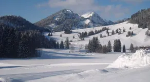 Bergbauernhof Weber - Image 5