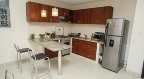 Downtown Apartments "Altos del Sur" - Image 3