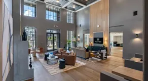 Landing Chic 1BD in Westport - Image 3