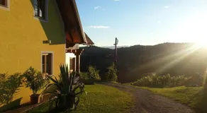 Weingut Reiterer - Image 5