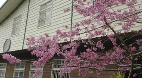 An Yun Mountain Homestay - Image 3