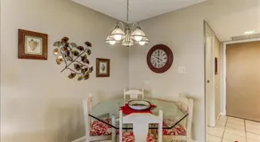 Sand Dollar - Image 4