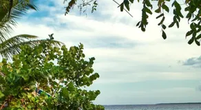 A Caribbean-style rebirth, 2 minutes from the beach - Image 5