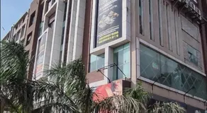 The pearl - Image 4