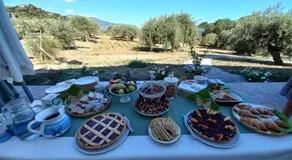L'ALBERO DELLA MANNA - Image 4