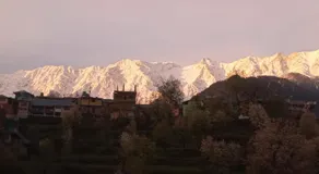 Nirmal Homestay - Image 5