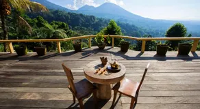 DWan Tea Mountain Side - Image 4
