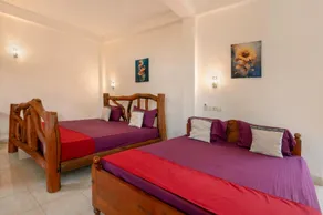 Ayurvedic Lanka Wellness Hotel - Image 2