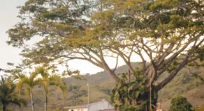 Alma Terra Campestre - Image 2