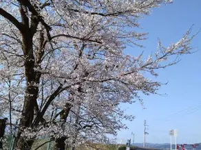 Uonuma LenLen House - Image 5