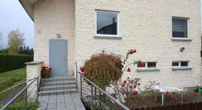 Dangus - Image 5