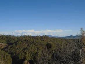 Pine pioneer the eco resort  - Image 2