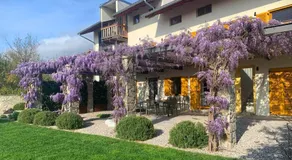 House Wisteria - Image 2
