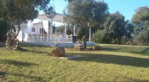 B&B GLI ULIVI - Image 3