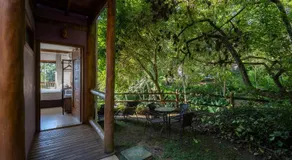 Siriúba Reserve - Image 4
