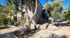 Villa Eleia Bodrum - Olive Garden & Stone House - Image 5