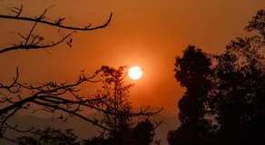 Himalaya Forest Resort - Image 2